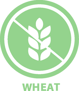 gluten free allergy snacks by safely delicious