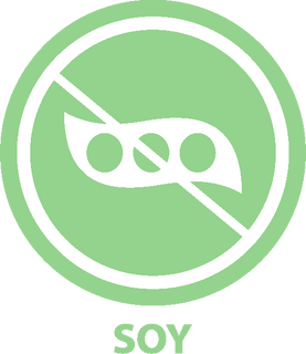 soy free snacks safe for kids